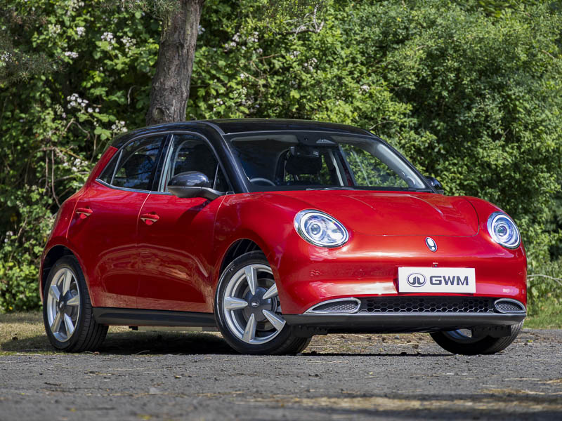 Brand New 75 GWM ORA 03